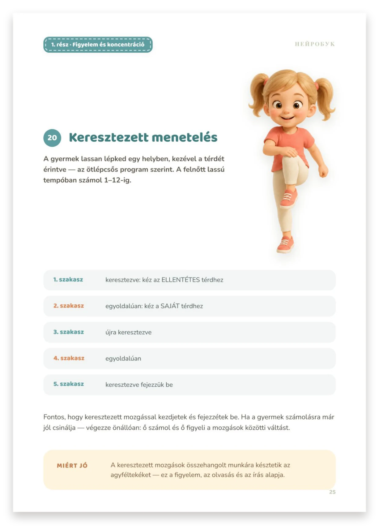Keresztirányú menetelés fázisai